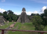 Latin America RFSS